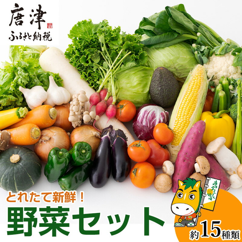 4位! 口コミ数「0件」評価「0」野菜セット 新鮮とれたて旬の野菜 季節の野菜 詰合せ サラダ「2024年 令和6年」