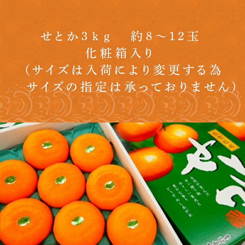 【ふるさと納税】『予約受付』【令和7年1月中旬発送】唐津産 せとか 3kg 化粧箱 みかん ミカン オレンジ フルーツ 果物 ギフト