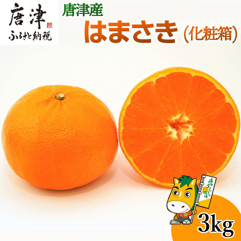『予約受付』[令和7年2月上旬発送]唐津産 はまさき 3kg 化粧箱 みかん ミカン オレンジ フルーツ 果物 ギフト