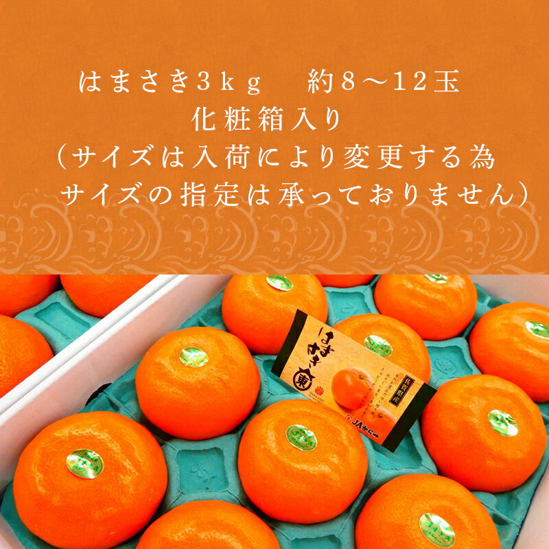 【ふるさと納税】『予約受付』【令和7年2月上旬発送】唐津産 はまさき 3kg 化粧箱 みかん ミカン オレンジ フルーツ 果物 ギフト