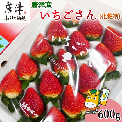 『予約受付』【12月中旬より順次発送】佐賀県唐津市「いちごさん」化粧箱 600g いちご 苺 イチゴ 化粧箱 ギフト