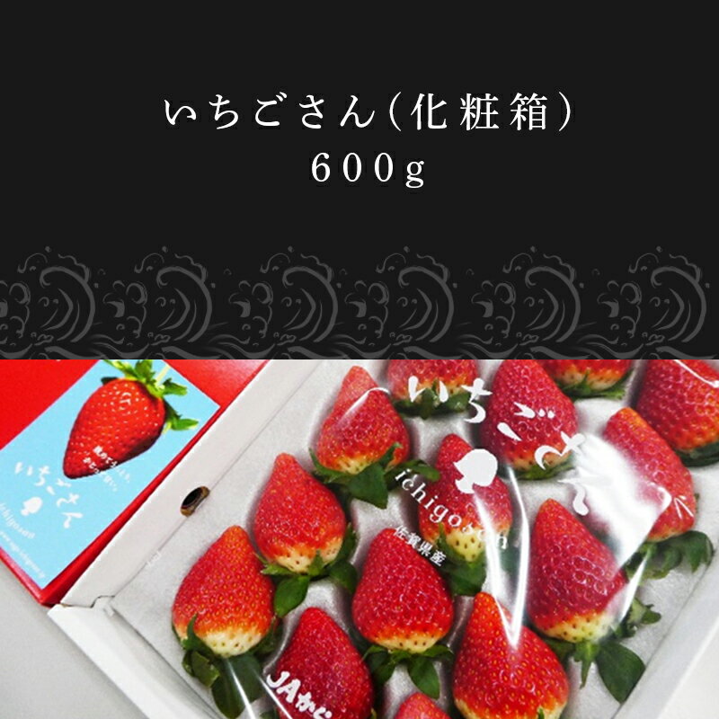 【ふるさと納税】『予約受付』【12月中旬より順次発送】佐賀県唐津市「いちごさん」化粧箱 600g いちご 苺 イチゴ 化粧箱 ギフト