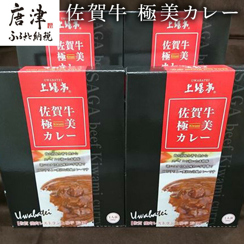 28位! 口コミ数「0件」評価「0」佐賀牛 極美カレー 「2024年 令和6年」