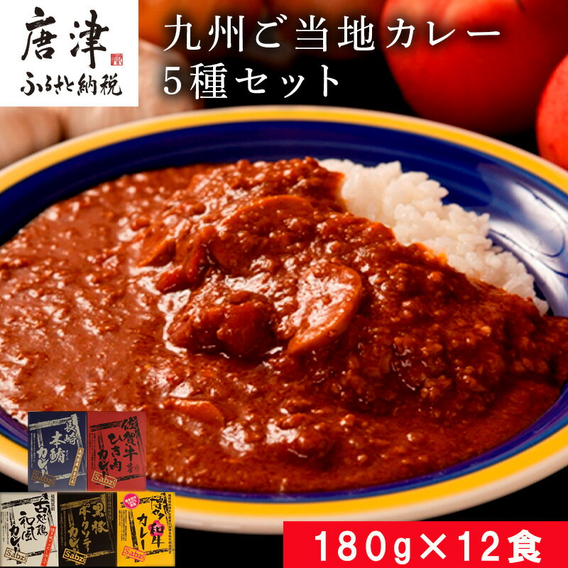 【ふるさと納税】九州ご当地カレー佐賀牛ひき肉カレー180g×4、博多和牛カレー、長崎本鮪カレー、黒豚ポークソテーカレー、古処鶏和風カレー各180g×2(合計2.16kg)「2024年 令和6年」