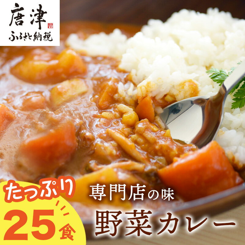 【ふるさと納税】カレー専門店Sabziオリジナル野菜カレー 