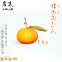 【ふるさと納税】『先行予約』【令和8年2月上旬発送】果皮も丸ごとガブッ!味香みかん 5kg 新種のミカン フルーツ 果物 デザート 柑橘