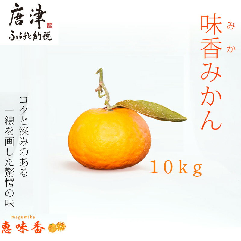 10位! 口コミ数「0件」評価「0」果皮も丸ごとガブッ！味香みかん 10kg 新種のミカン フルーツ 果物 デザート 柑橘