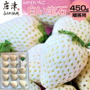 【ふるさと納税】『先行予約』【令和8年2月上旬から4月下旬までにお届け】白い宝石 白いちご 450g 贈答用 いちご イチゴ 苺 フルーツ 果物 希少