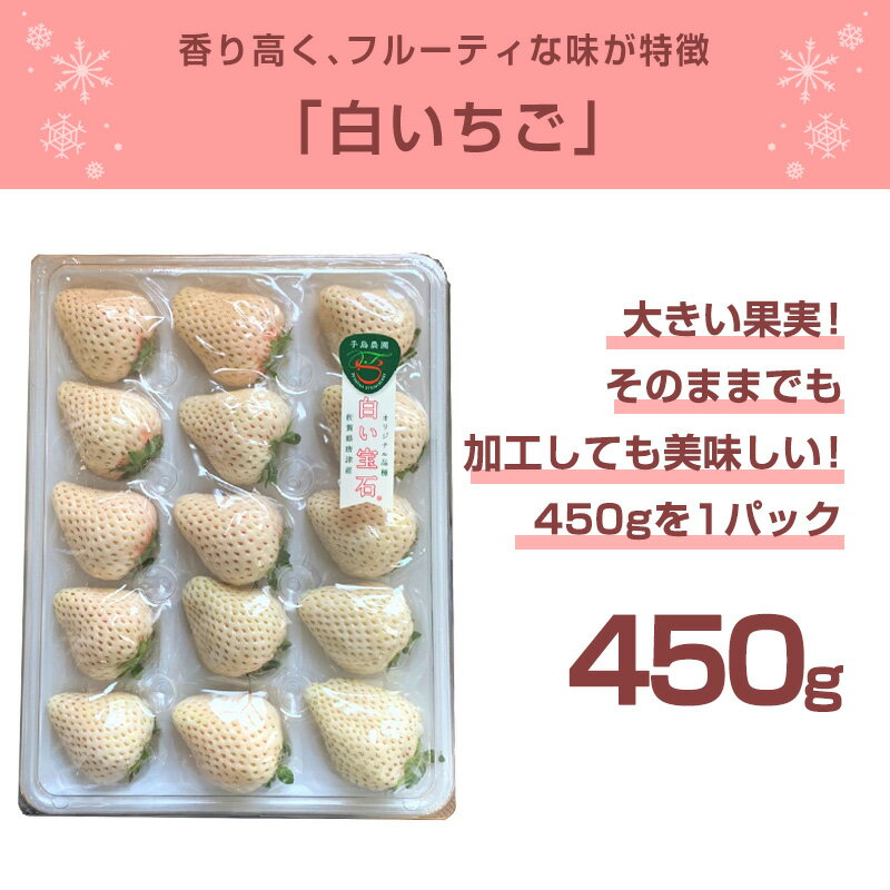 【ふるさと納税】白い宝石 白いちご 450g 贈答用 いちご 苺