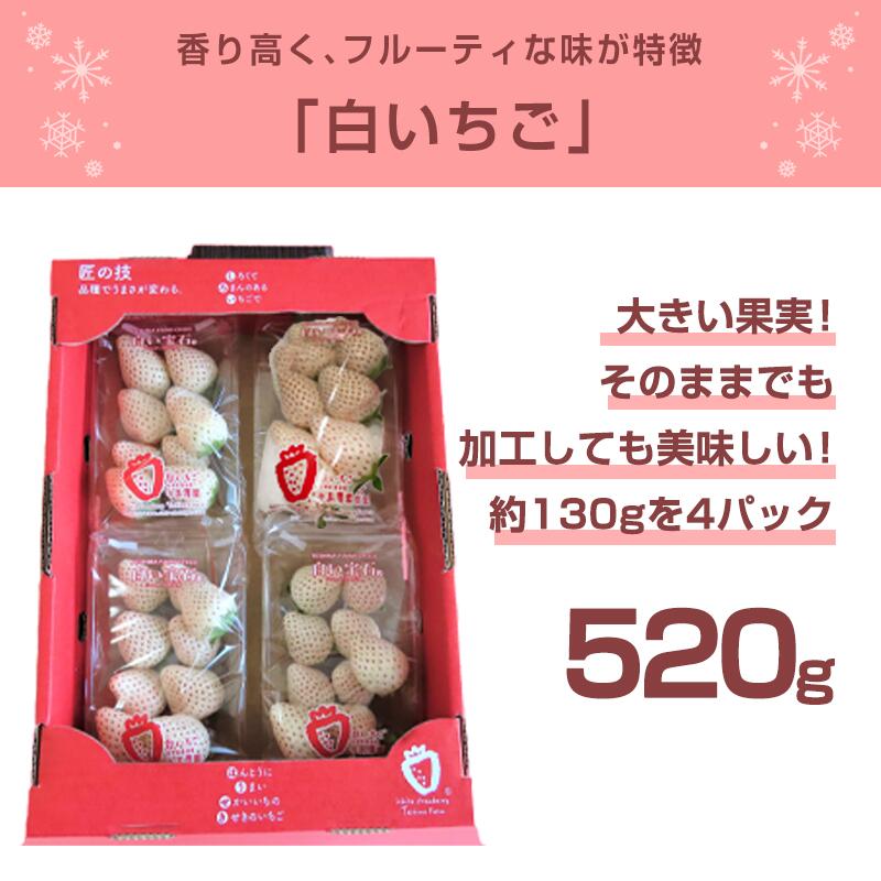 【ふるさと納税】白い宝石 白いちご 約130g×4P(合計約520g) ご自宅用 いちご 苺 贈答