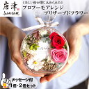 【ふるさと納税】《美しい時が閉じ込められた》プロフーモアレンジ プリザーブドフラワー「個数を選べる!」インテリア 置物 かわいい おしゃれ ハンドメイド 贈り物 ギフト 誕生日 枯れないお花「2025年 令和7年」
