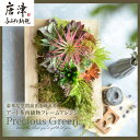 【ふるさと納税】豪華な空間演出を叶える アート多肉植物フレームアレンジ【プレシャス・グリーン】壁掛 壁飾り インテリア おしゃれ アートフレーム「2025年 令...