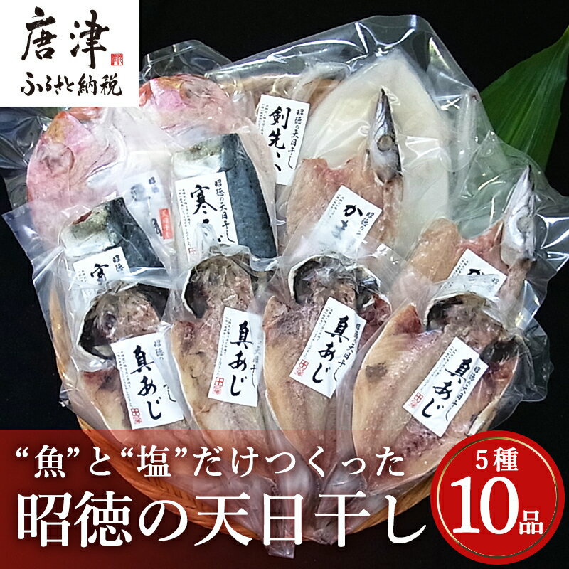 【ふるさと納税】昭徳の天日干し 1枚60g~180g全10枚でお届けします 真あじ開き60g×4枚 真さば片身90g×2枚 かます開き80g×2枚 連子鯛開き180g×1枚 剣先いか開き70g×1枚 おかず ギフト 「2024年 令和6年」