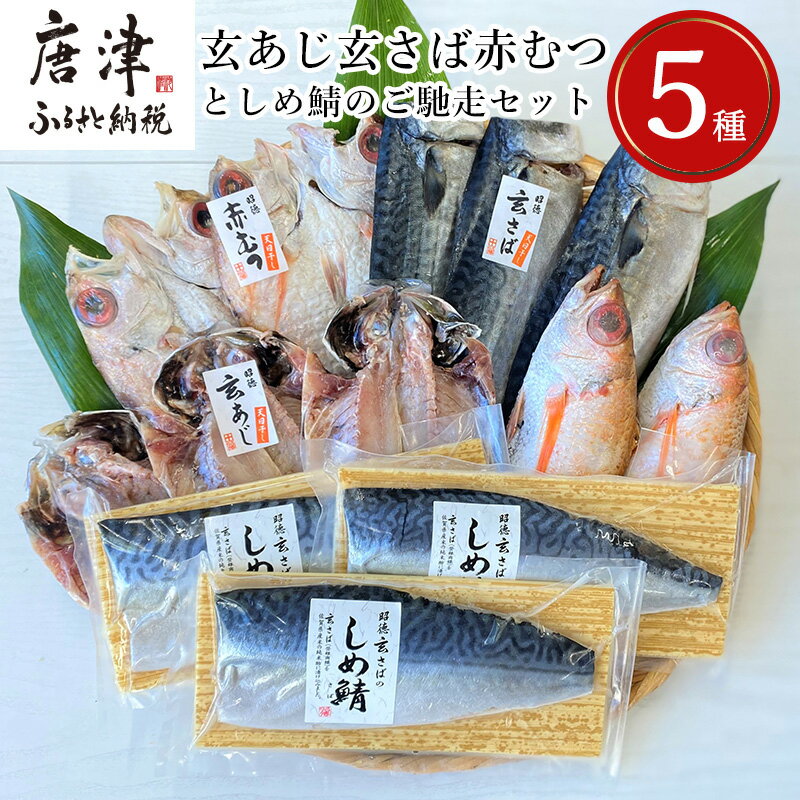 【ふるさと納税】玄あじ玄さば釣り赤むつとしめ鯖のご馳走セット 5種11枚2尾 セット 干物 しめ鯖 まるごと おかず ギフト 昭徳「2025年 令和7年」