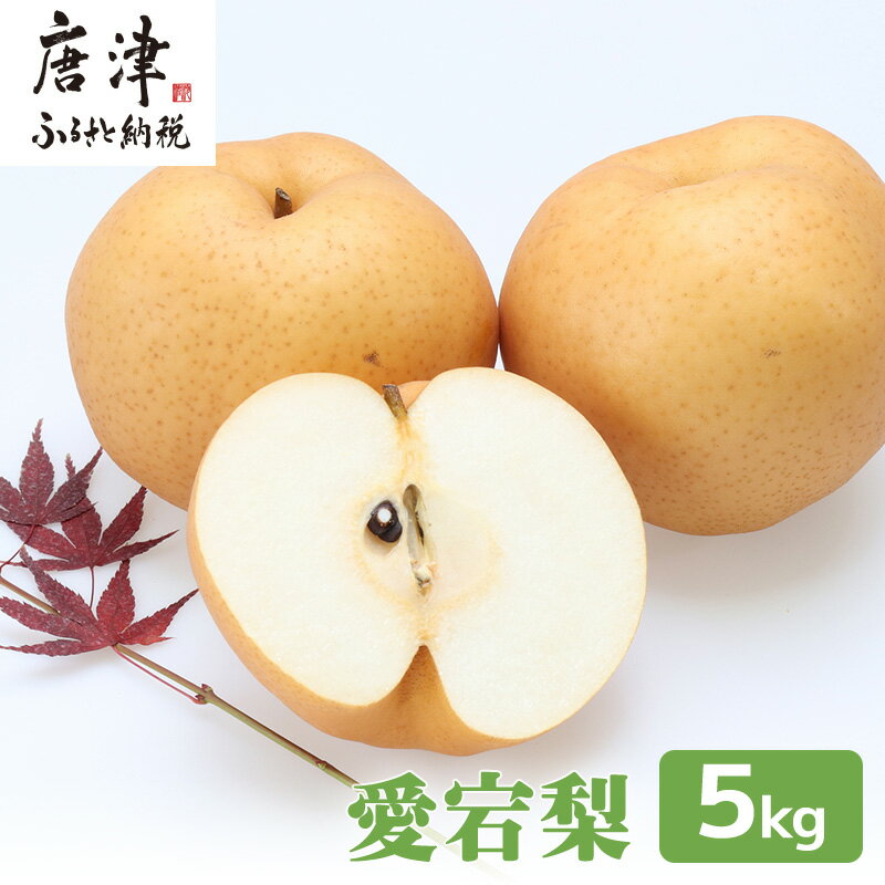 ڤդ뤵Ǽǡ ٺ ú ܤ5kgʪ ե롼 