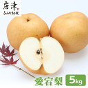 【ふるさと納税】訳あり 今が食べ頃 特栽 旬の梨5kg 愛宕梨 果物 フルーツ くだもの