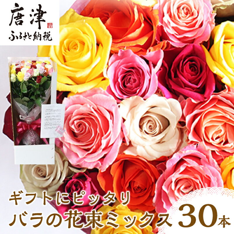 [商品価格に関しましては、リンクが作成された時点と現時点で情報が変更されている場合がございます。]