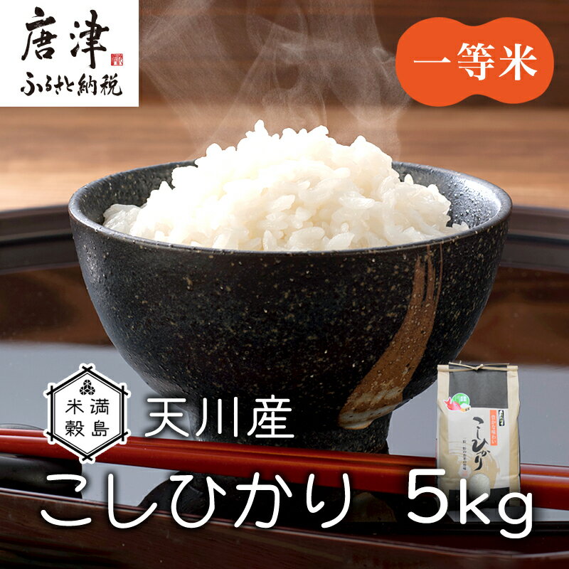 特別栽培米 [一等米] 唐津市天川産 こしひかり 5kg 減肥減農薬で育てた特別栽培米をお届け たんぱく質が少なく食味が良いお米