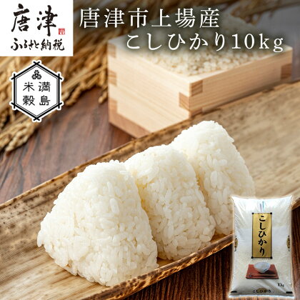 佐賀県唐津市上場産こしひかり 10kg つやと張りがあり、粘りが強い甘みのあるお米 精米したてをお届け