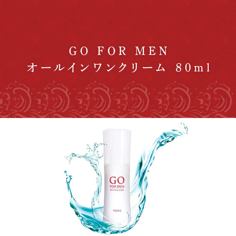 【ふるさと納税】GO FOR MEN オールインワンクリーム 80ml 化粧品 スキンケア メンズコスメ 「2024年 令和6年」