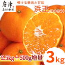 【ふるさと納税】『先行予約』【令和8年1月下旬発送】浜王(はまおう) ハウス栽培 唐津産 3kg 口之津(くちのつ) 39号みかん フルーツ 果物 柑橘 かんき...