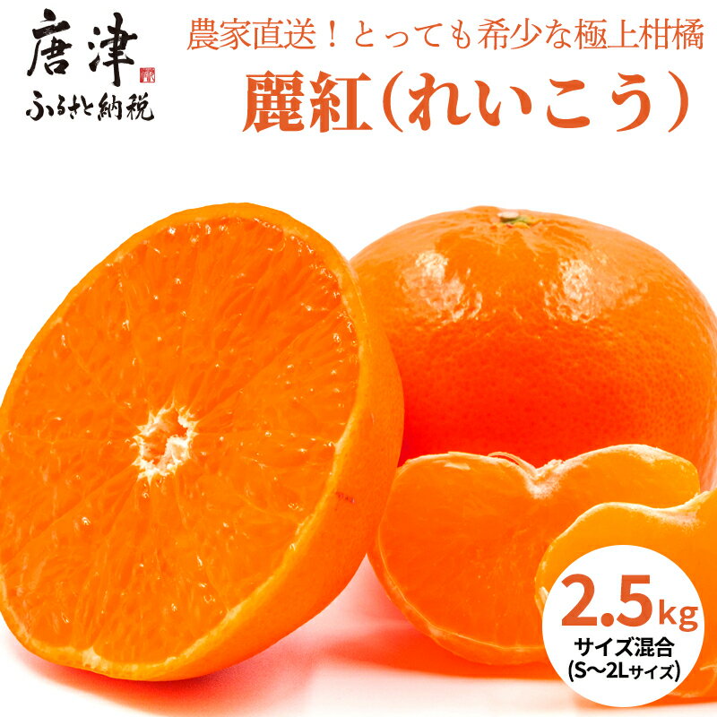 『予約受付』[令和7年1月下旬発送]麗紅(れいこう) ハウス栽培 唐津産 2.5kg 混合サイズ みかん 蜜柑 柑橘 果物 フルーツ