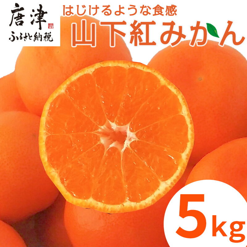 15位! 口コミ数「0件」評価「0」『予約受付』【令和6年11月発送】山下紅みかん(ハウス栽培)唐津産 5kg ミカン 蜜柑 果物 フルーツ