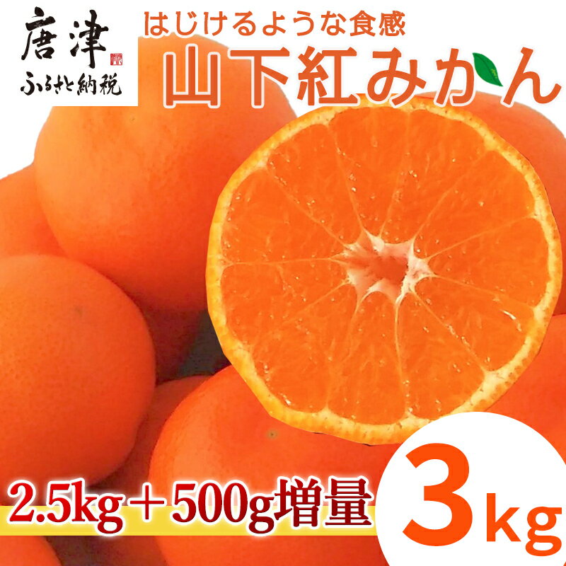 『予約受付』[令和6年11月発送]山下紅みかん(ハウス栽培) 唐津産 3kg ミカン 蜜柑 果物 フルーツ