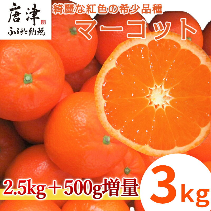 23位! 口コミ数「0件」評価「0」『予約受付』【令和7年2月中旬発送】マーコット(ハウス栽培) 唐津産 3kg みかん ミカン 果物 フルーツ