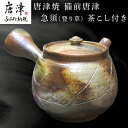 【ふるさと納税】唐津焼 備前唐津 急須(登り草) 茶こし付き 茶器 きゅうす 日本茶 緑茶 ティーポット 食器 ギフト「2025年 令和7年」