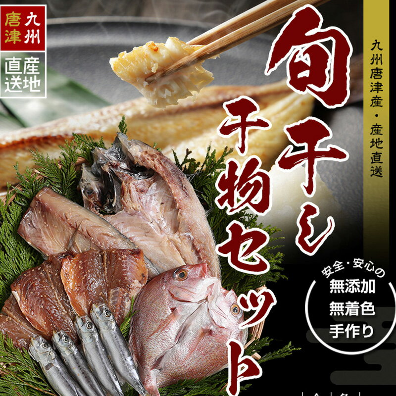 【ふるさと納税】無添加・無着色・手造り 唐津産 『初めての唐津旬の干物5種10尾セット』唐津産真アジ醤油みりん干し、唐津産真サバひもの、唐津産季節の旬の白身魚一夜干し、真イワシ丸干し、トロあじ開き 酒の肴