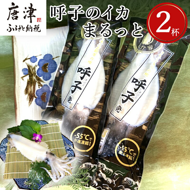 【ふるさと納税】呼子のイカまるっと2杯 瞬間冷凍の旨さを呼子発でお届け 海鮮 スルメイカ 新鮮松いか...