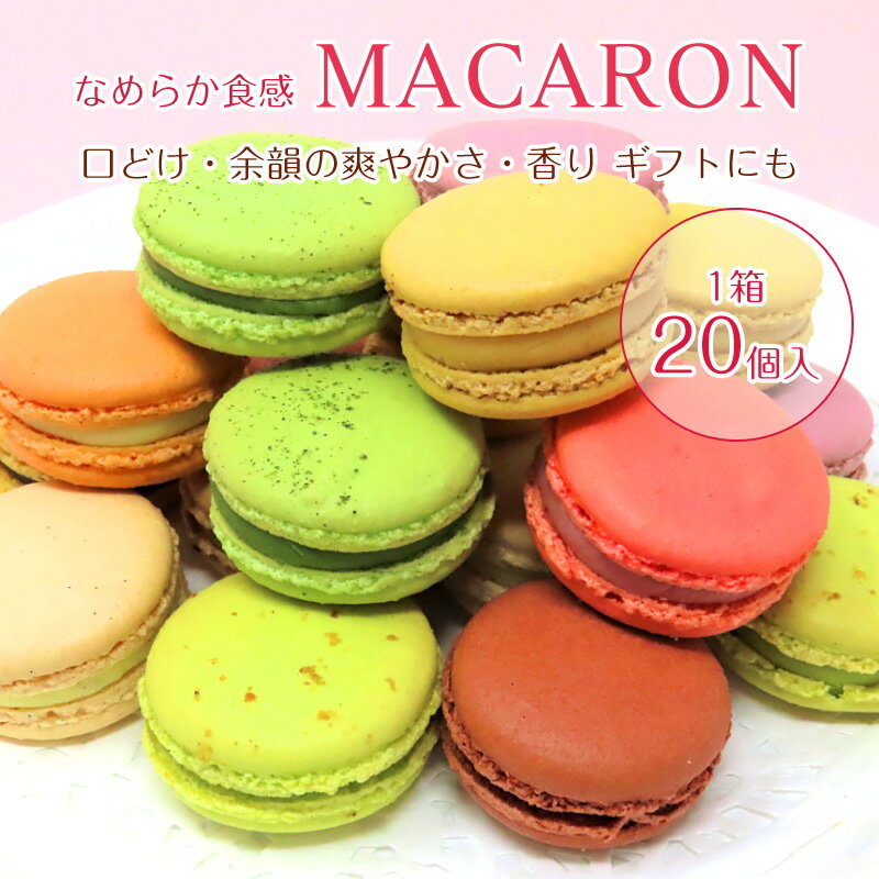 【ふるさと納税】【お歳暮対応可】唐津マカロン20個入り詰合せ スイーツ ギフト 「2022年 令和4年」