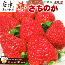 【ふるさと納税】『令和6年度 予約受付』濃厚苺 さちのか「パック数を選べる！」1パック250g(2パック～12パック) 濃厚いちご 苺 イチゴ 果物 フルーツ ビタミン