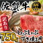 【ふるさと納税】訳アリ！艶さし！佐賀牛しゃぶしゃぶすき焼き750gセット 牛肉 スライス 切り落とし「2024年 令和6年」