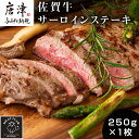 【ふるさと納税】艶さし！佐賀牛サーロインステーキ 250g×1枚 肉 牛肉 ステーキ 焼肉 BBQ バーベキュー ギフト アウトドア 「2024年 令和6年」