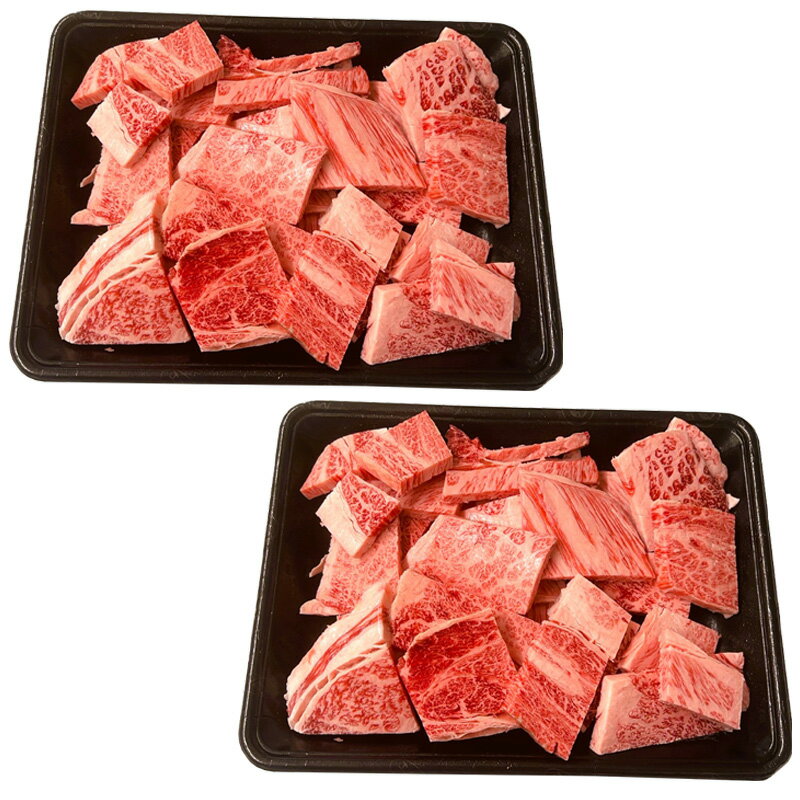 【ふるさと納税】訳あり！艶さし！【A4～A5】佐賀牛焼肉切り落とし 500g×2p(合計1kg) BBQ バーベキュー 焼き肉 お肉 牛肉 アウトドア