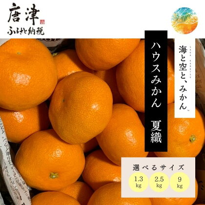 『予約受付』【令和6年6月上旬発送】夏の極上ハウスみかん「夏織」1.3kg～9kg「容量を選べる！」～海と空と、みかん～ 甘くてとろける夏の果物に ミカン フルーツ 柑橘