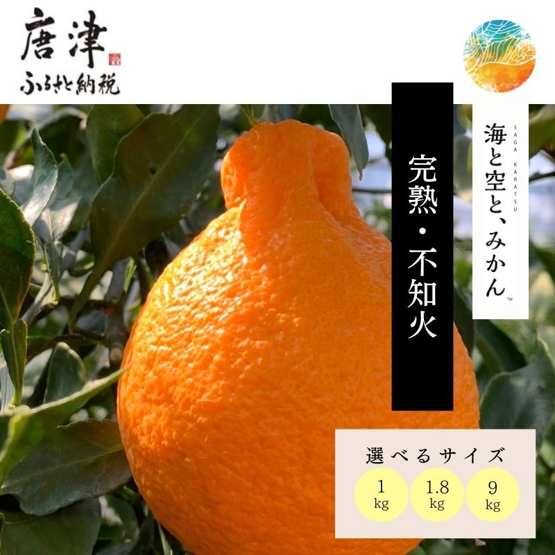 『予約受付』唐津産ハウス育ち「不知火」1kg～9kg「容量を選べる！」～海と空と、みかん～ デコポン ミカン みかん 柑橘 ギフト