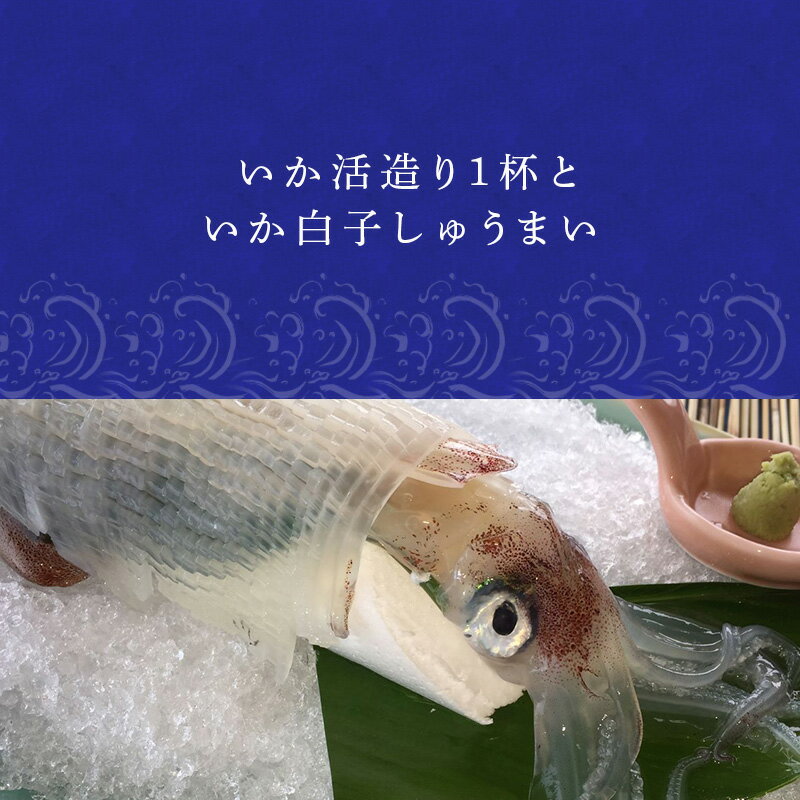 【ふるさと納税】いか活造り1杯といか白子しゅうまい 刺身 惣菜 簡単 ギフト 冷凍「 2024年 令和6年」