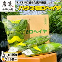 【ふるさと納税】ハウスモロヘイヤ 100g×10袋×1箱〜 ネバネバ 高栄養価(βカロテン/各種ビタミン/カルシウム/カリウム/葉酸など) 定番おひたし 和洋中...