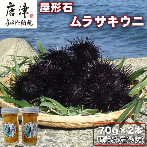【ふるさと納税】塩うに(ムラサキウニ)70g×2本 ミョウバン不使用 雲丹 海鮮 海産物 瓶詰め おつまみ おかず 酒の肴 ご飯のお供 【ふるさと納税】塩うに(ムラサキウニ)70g×2本 ミョウバン不使用 雲丹 海鮮 海産物 瓶詰め おつまみ おかず 酒の肴 ご飯のお供