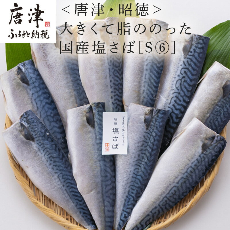 大きくて脂ののった国産塩さば 150g×10枚(合計1.5kg) おかず ギフト 「2024年 令和6年」