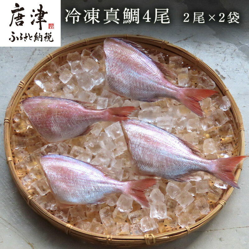 【ふるさと納税】冷凍真鯛 2尾500g×2P(合計1kg) 佐賀県唐津産 天然 真空パック 刺身 煮付 塩焼き 「2024年 令和6年」