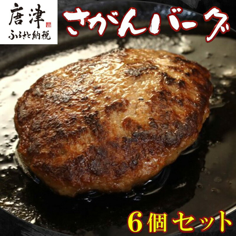 佐賀牛と佐賀県産和豚もち豚の無添加ハンバーグ「さがんバーグ」140g×6個入り 「2024年 令和6年」