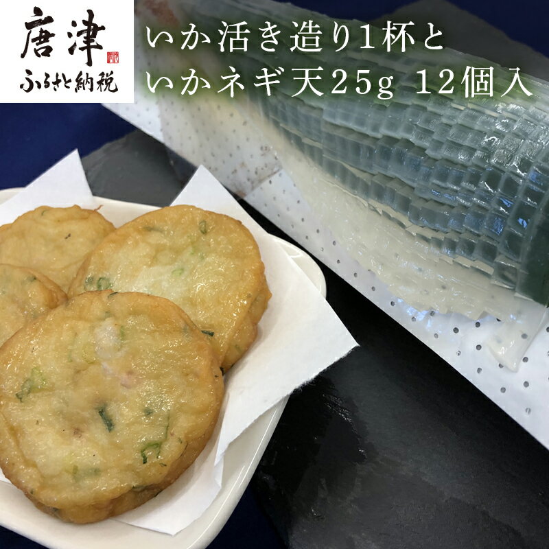 【ふるさと納税】呼子のいか活造り1杯といかネギ天 25g×12個(合計300g) 刺身 練物 ギフト「2024年 令...