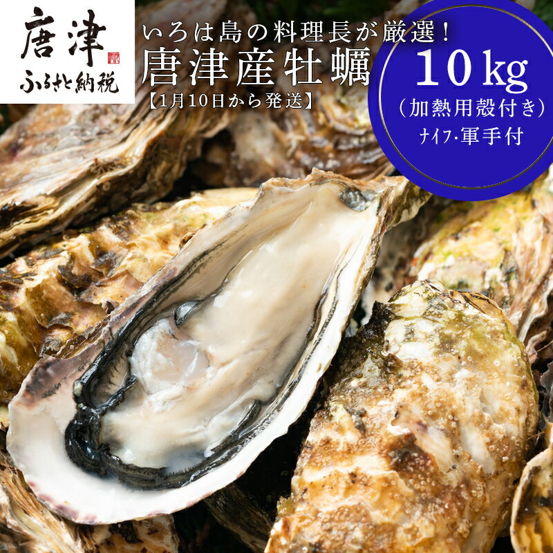 【ふるさと納税】【1月10日から発送】いろは島の料理長が厳選!唐津産 牡蠣10kg ナイフ 軍手付 (加熱用)殻付き かき カキ 殻付き牡蠣 養殖 まがき 貝 海鮮 シーフード