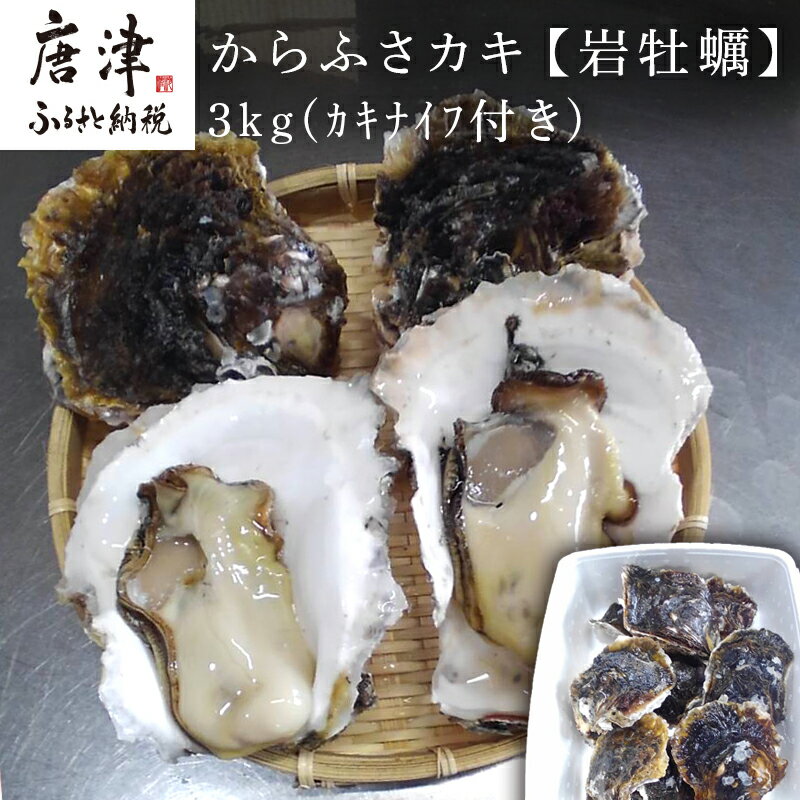 【ふるさと納税】唐津市唐房産 からふさカキ『岩牡蠣』3kg(