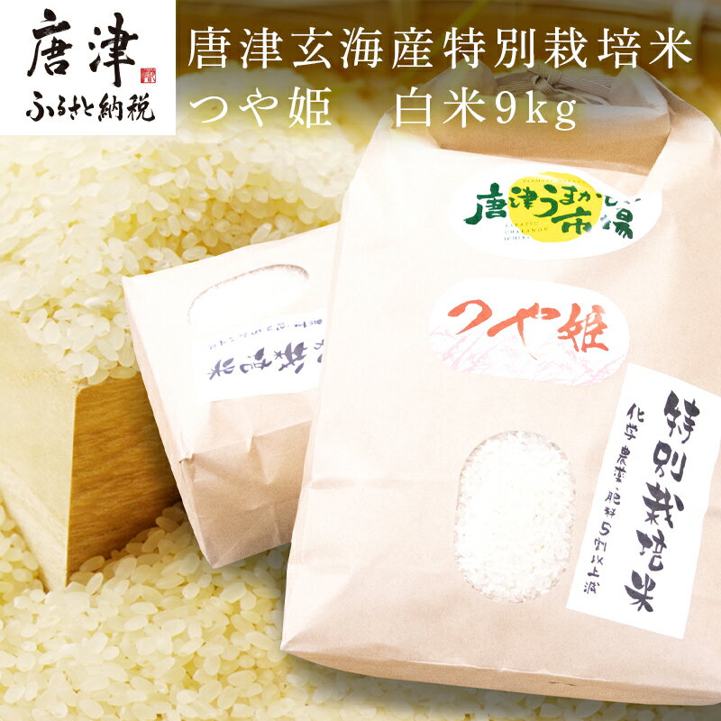 【ふるさと納税】唐津玄海産特別栽培米つや姫 白米9kg 粘り