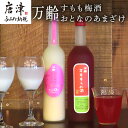 【ふるさと納税】万齢 すもも梅酒 720ml 1本 おとなのあまざけ 500ml 1本 (合計2本) 唐津産すもも使用果肉入り 精米歩合50%のノンアルコールあまざけ 女性に人気 「2025年 令和7年」